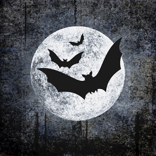 Bilde: © Duni / Oda Duni Servietter Halloween Moon And Bats 3 lag, 33x33cm, 20 stk