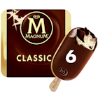 Magnum Classic Ispinne