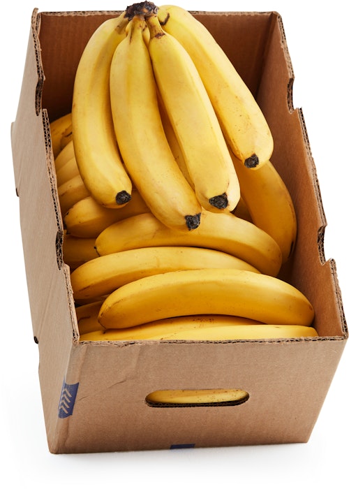 Bananer i Kasse