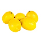 Små Sitroner