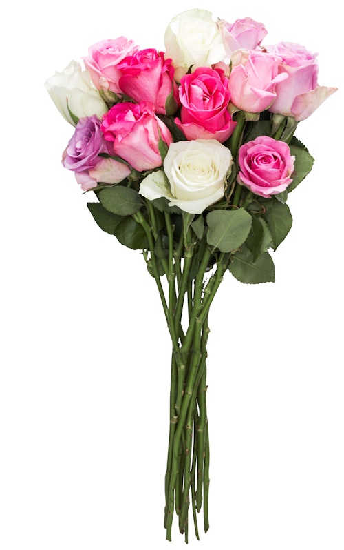 Bilde: © FreshFlowers / Oda FreshFlowers Roser Mix Kalde Farger 35 cm, 12 stk