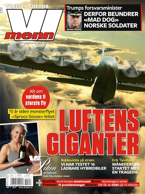 Vi Menn