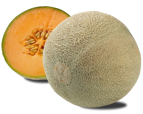 Melon Cantaloupe Honduras