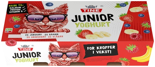 Bilde: © Tine / Kolonial.no Tine Junior Yoghurt Fruktmiks 8 x 125g, 1000 g