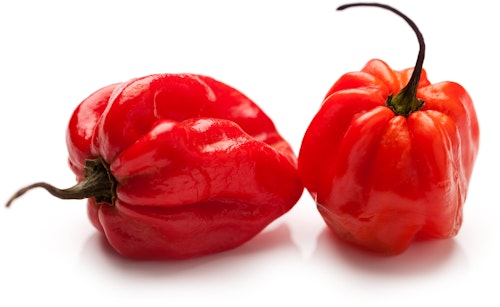 Habanero Rød Kenya, 50 g