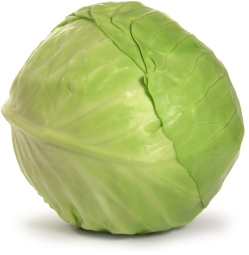 Økologisk Hodekål Norge, 1 kg