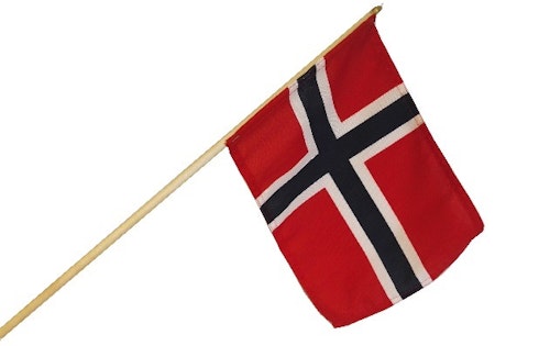 Barnehageflagget 15cm x 20,6cm, 55cm stang, 1 stk