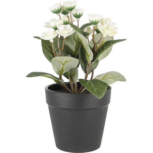 Bilde: © Clas Ohlson / Oda Clas Ohlson Naturtro miniplante med hvit blomst 1 stk