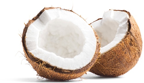 Kokosnøtt Elfenbenkysten/ Indonesia