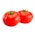 Økologiske Tomater Spania